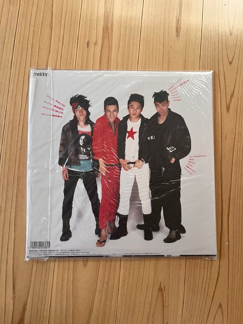 邦楽 THE BLUE HEARTS Young and party LP