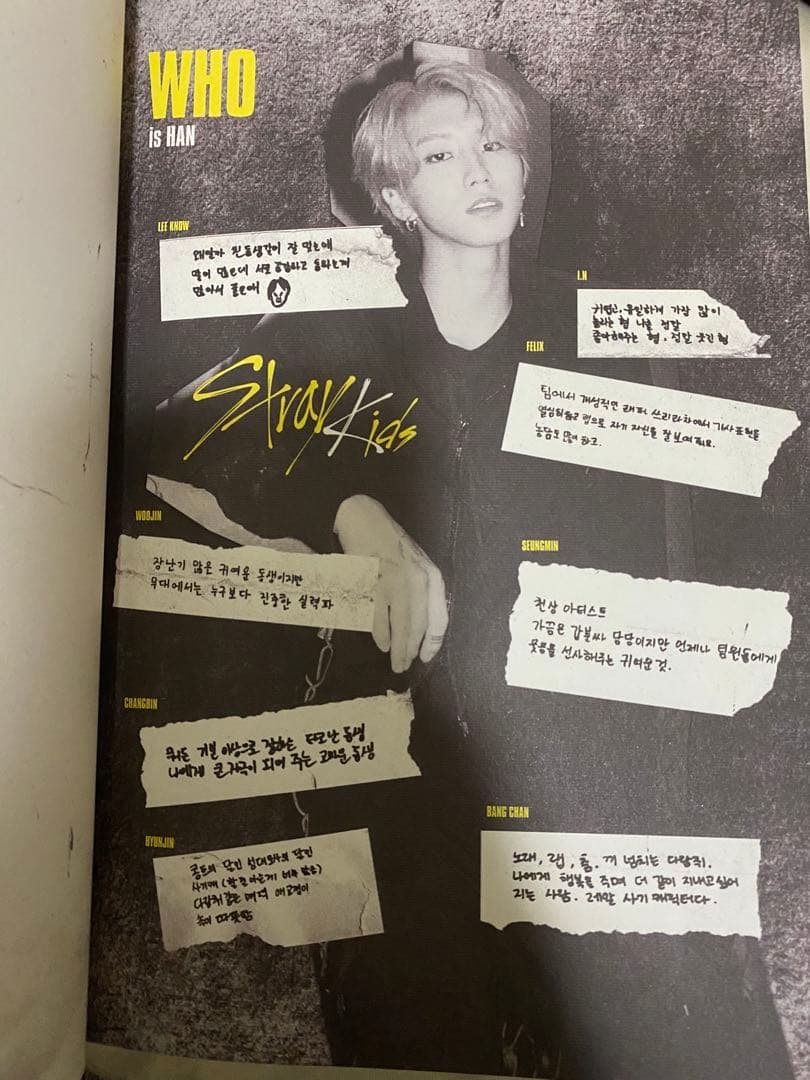 straykids アルバム 13冊