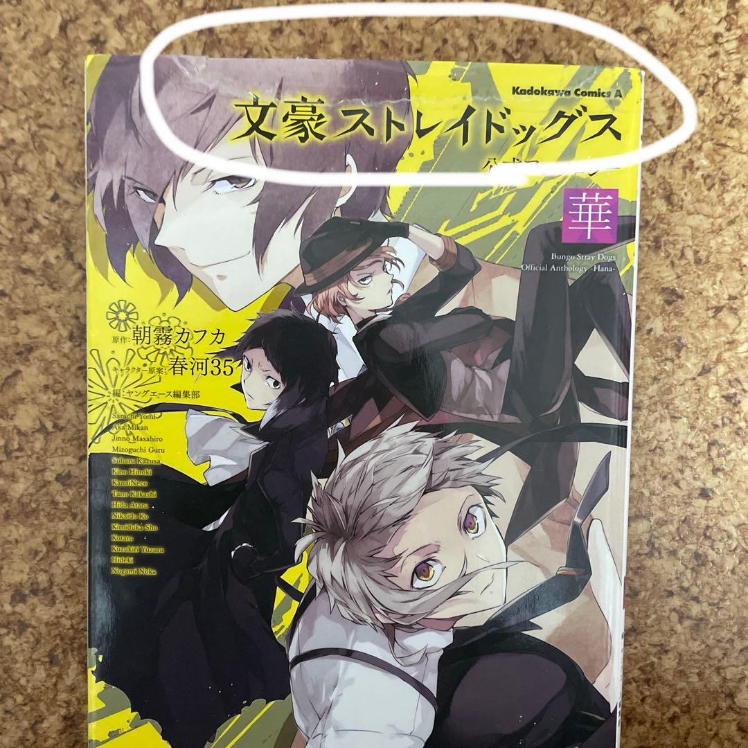 文豪ストレイドッグス25巻＋文豪ストレイドッグスわん！12巻＋11巻セット