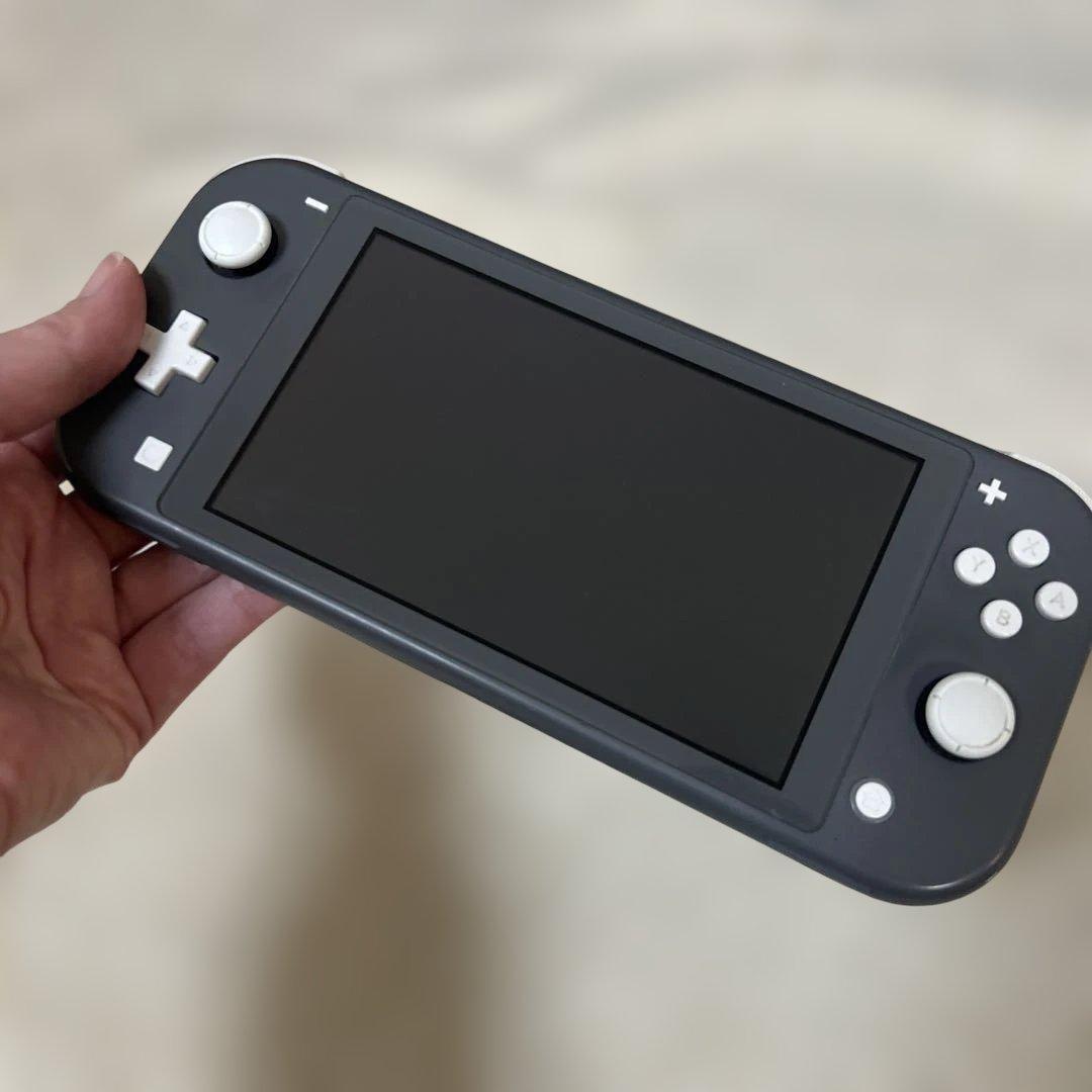 Nintendo Switch Lite グレー　箱、収納ケース付き