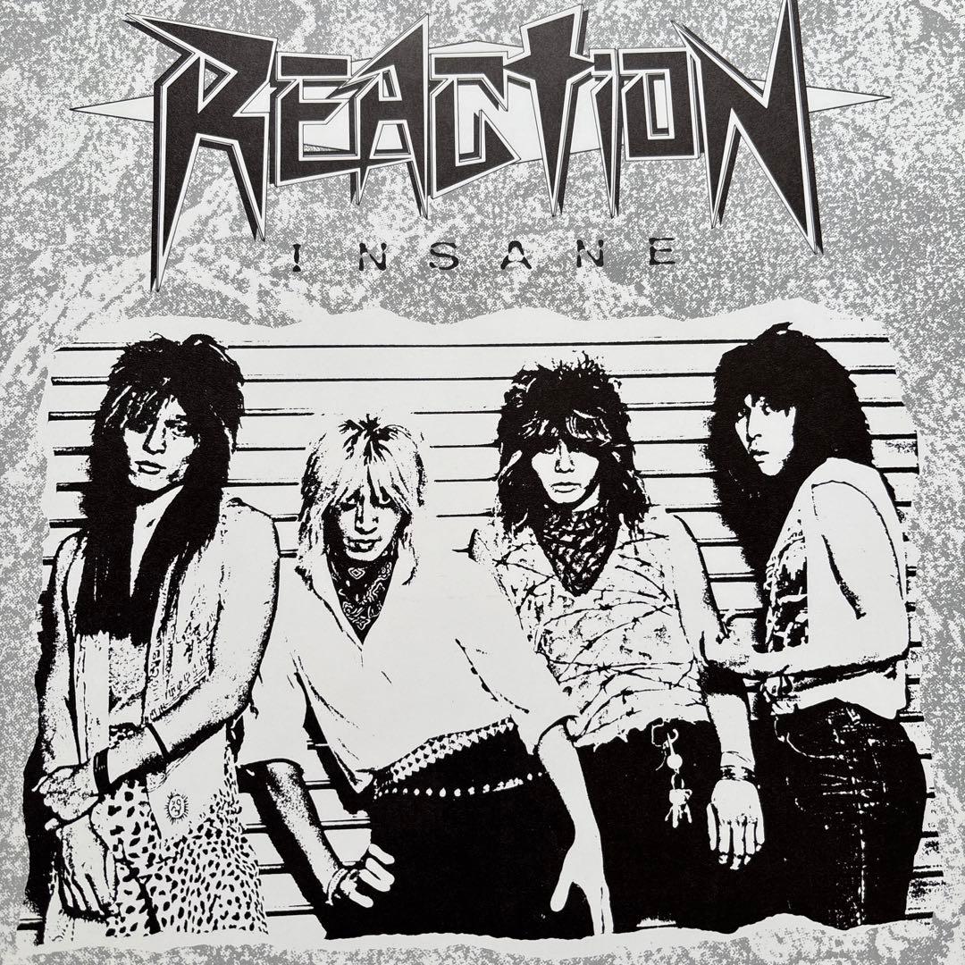 REACTION INSANE アナログレコード