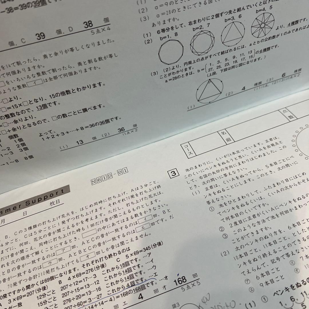 SAPIX 夏期講習 夏季 サマーサポート テキスト 2025 6年生