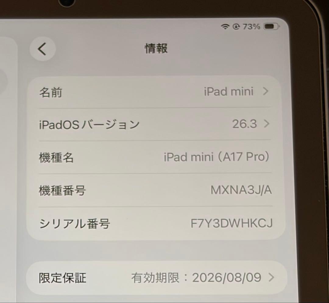 iPad mini 第7世代 256GB Wi-Fi バッテリー100% 箱付