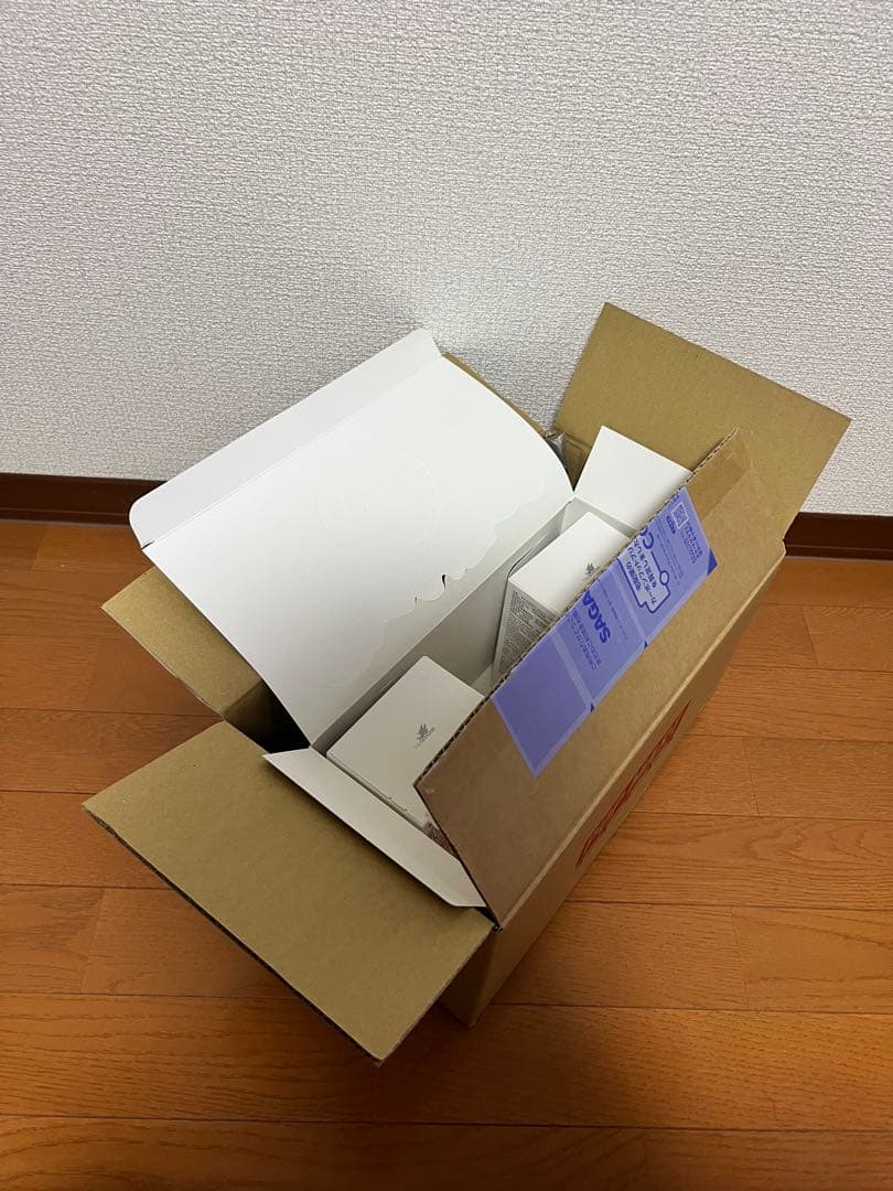 正規品・未開封ラブブLabubu BigintoEnergyポップマー トらぶぶ