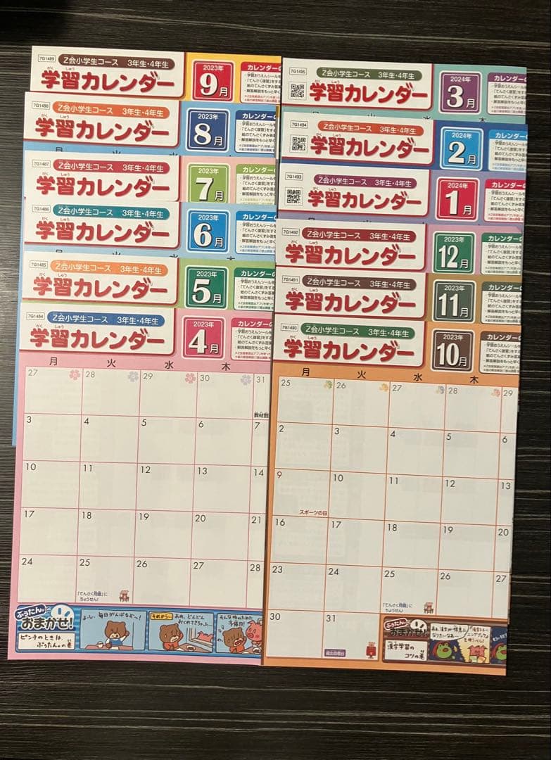 Z会　小3 エブリスタディ（ハイレベル）、思考・表現力