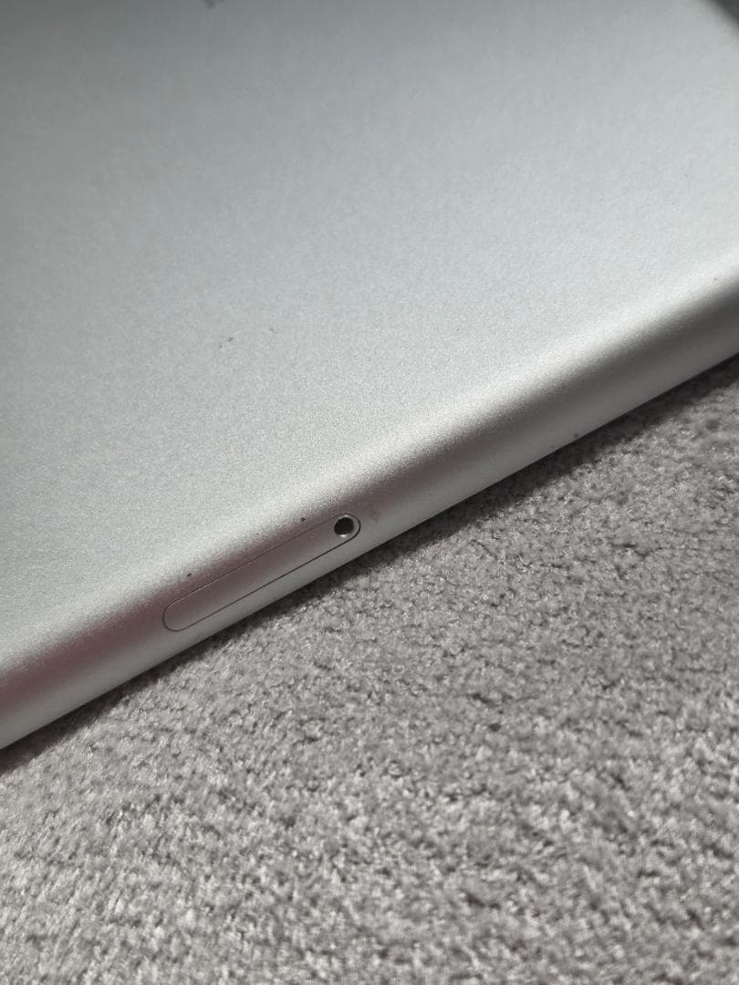 おまけ付★256GB★iPad mini★第5世代)★ Cellular
