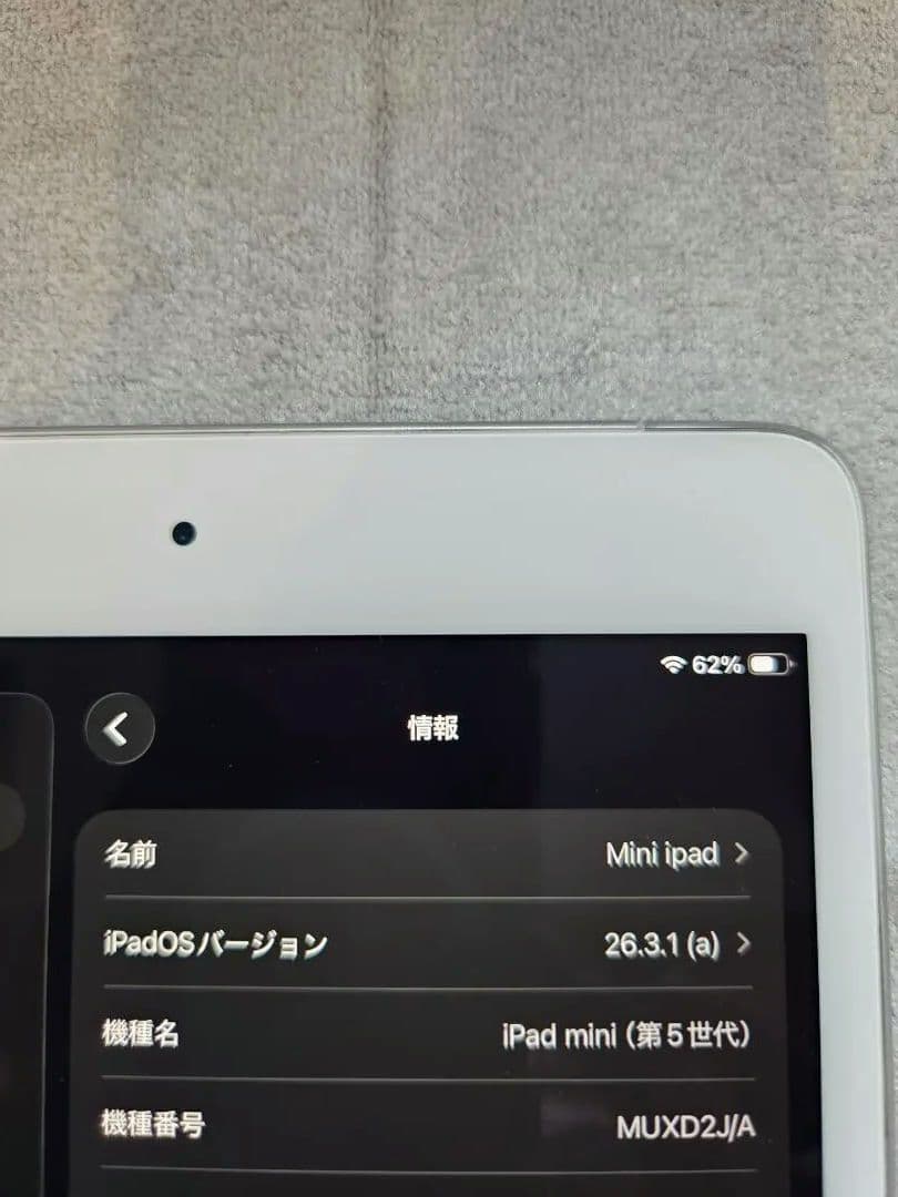 おまけ付★256GB★iPad mini★第5世代)★ Cellular