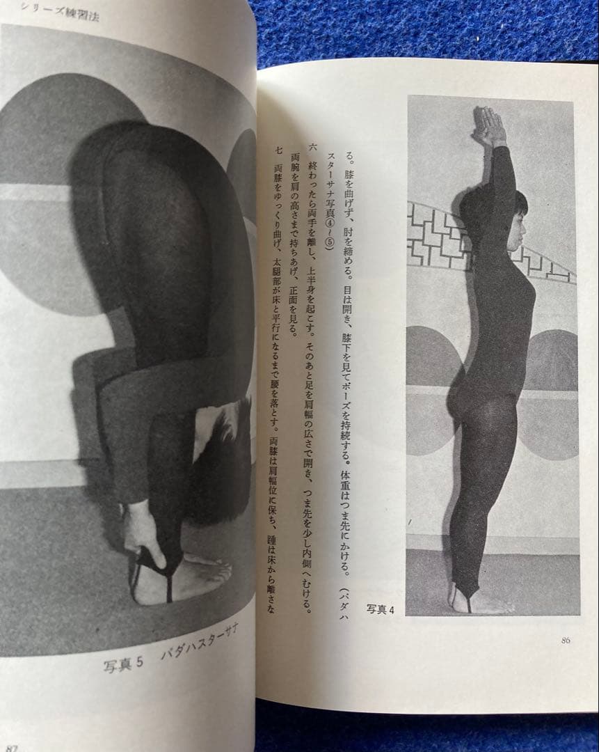 ジバナンダ・ゴーシュ　インド・ヨガ　2冊セット