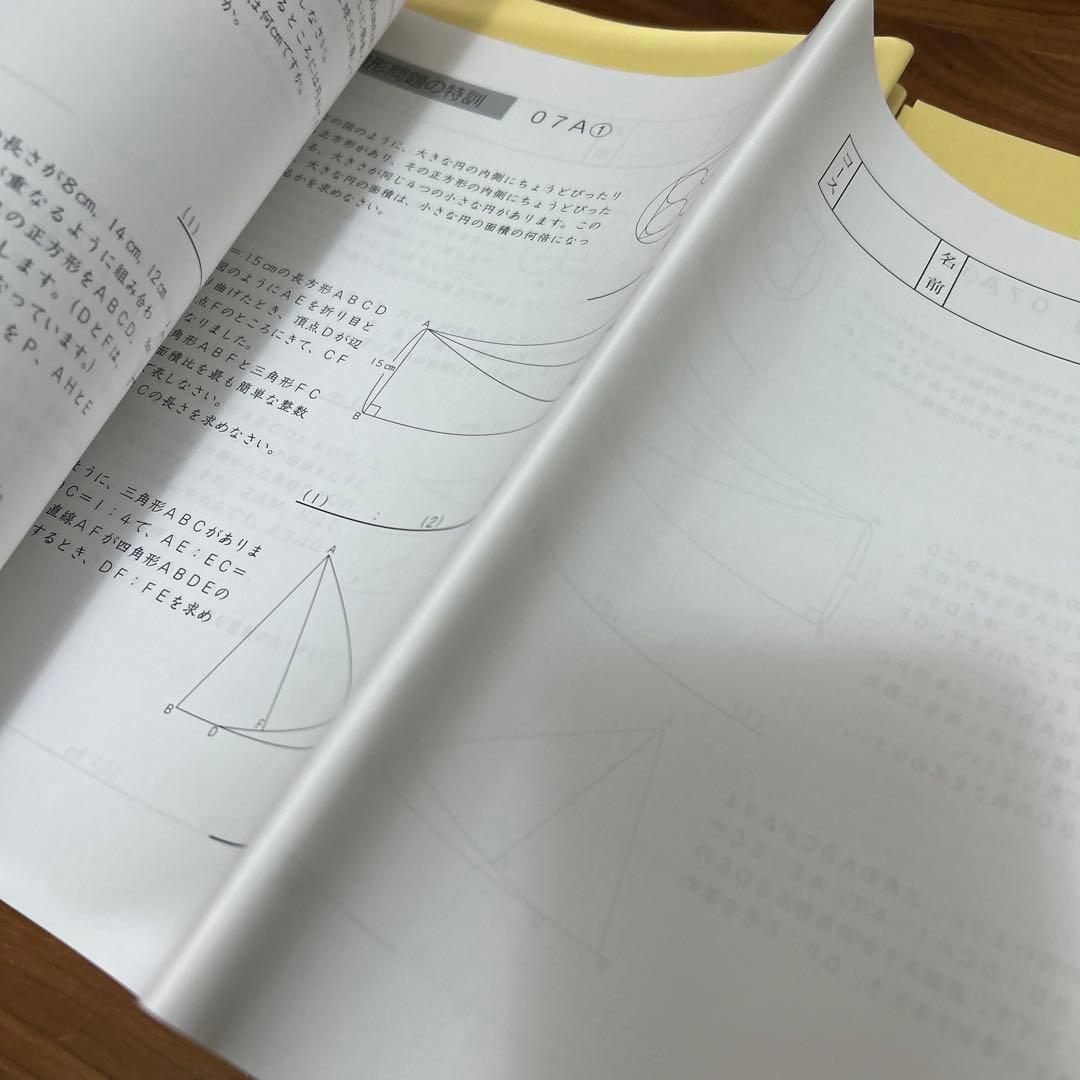 ㉑書き込み少な目　SAPIX サピックス 6年算数 難関校　SS特訓　解法力講座
