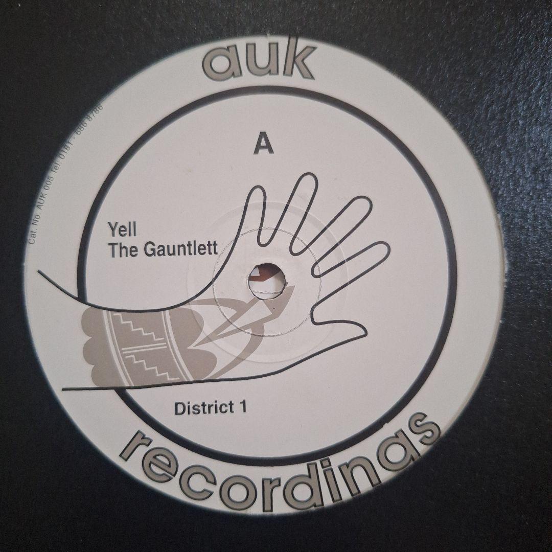 テクノ auk recordings ハードミニマル レコード 6枚セット