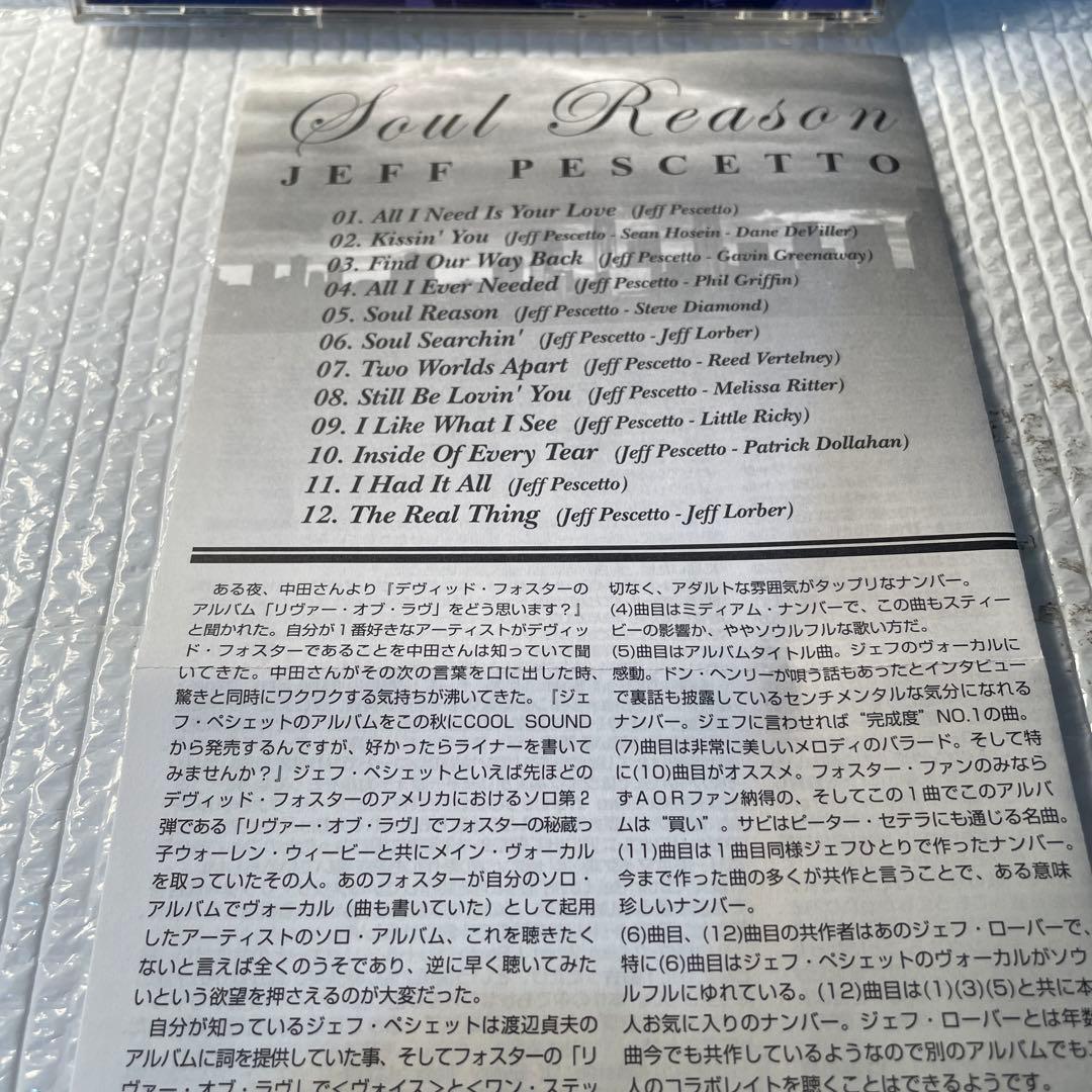 洋楽 AOR CD JEFF PESCETTO/soul reason