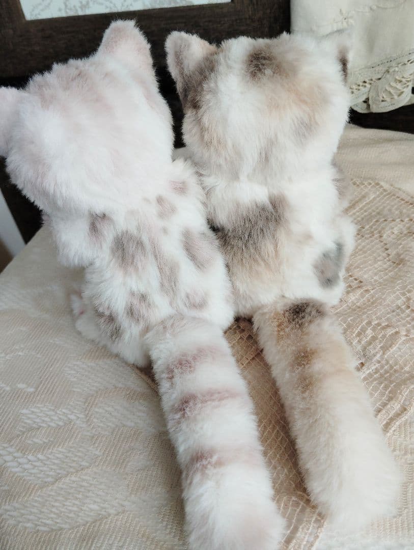 おふぅちゃん❤オーダー❤双子の子猫ちゃん♡アートドール♡ぬいぐるみ♡