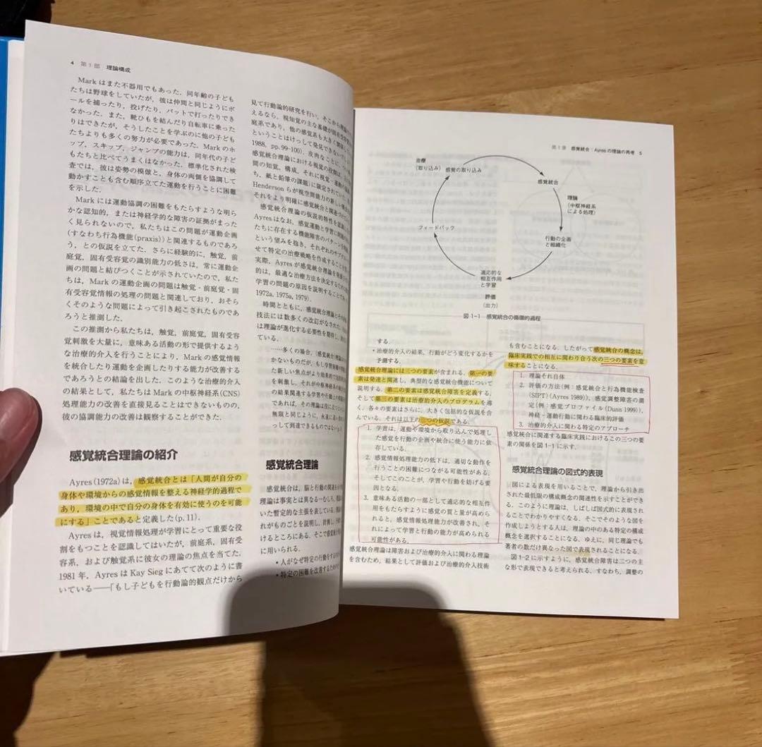 感覚統合とその実践　Sensory Integration第2版