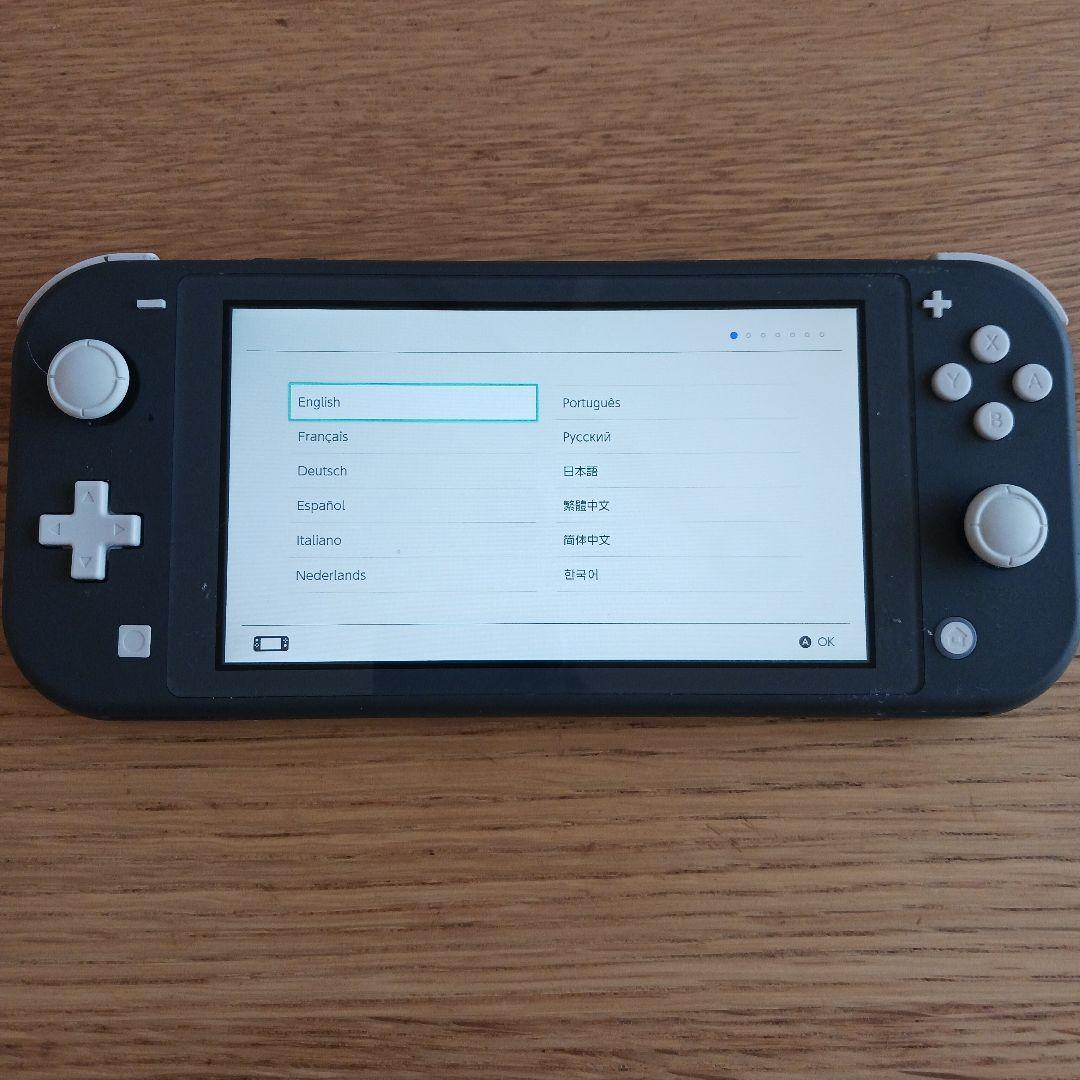 (ジャンク)Nintendo Switch Lite グレー