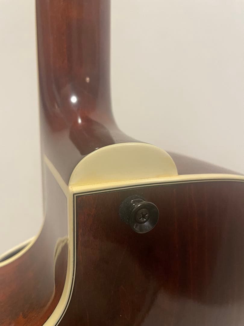 Eastman AR-175CE フルアコースティックギター　ハードケース付属