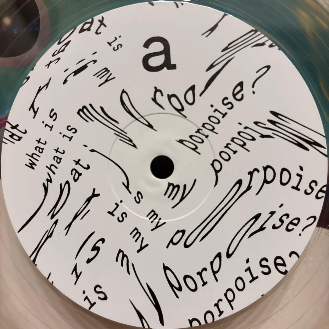洋楽 Dolphin Hyperspace What Is My Porpoise?