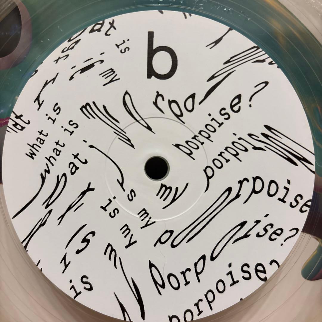 洋楽 Dolphin Hyperspace What Is My Porpoise?