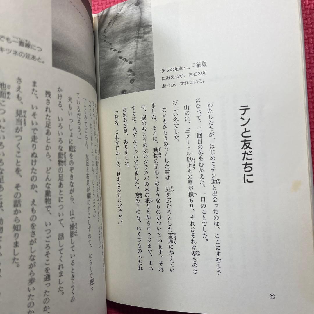 テンはロッジのお客さん