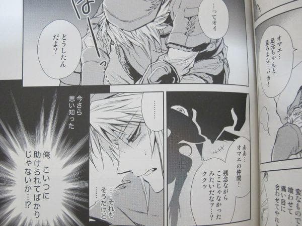 ゼルダの伝説■192p再録■Vestiges～/リンク×ミドナ、リンミド