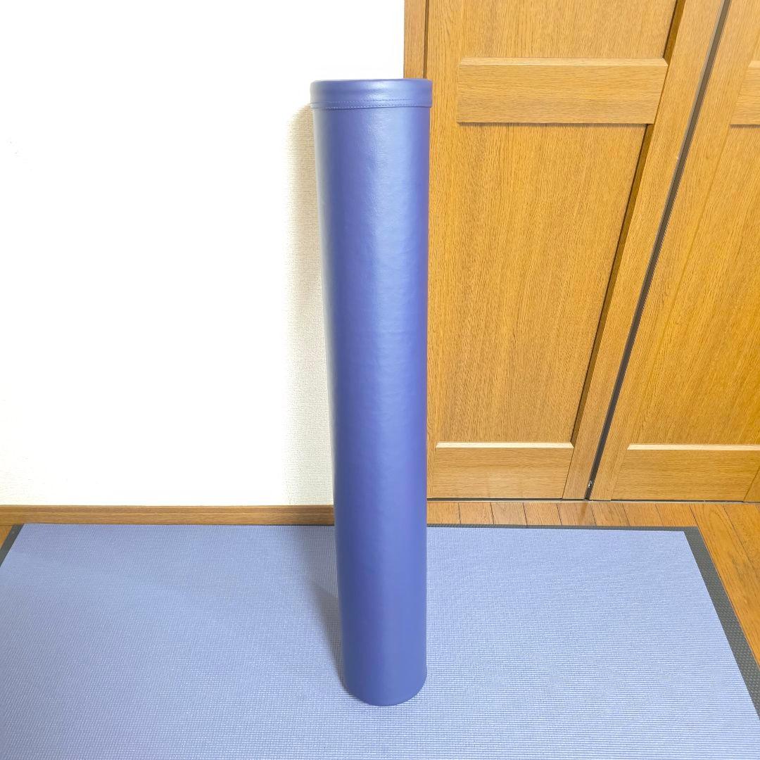 【84】【美品】LPN StretchPole ストレッチポール EXネイビー