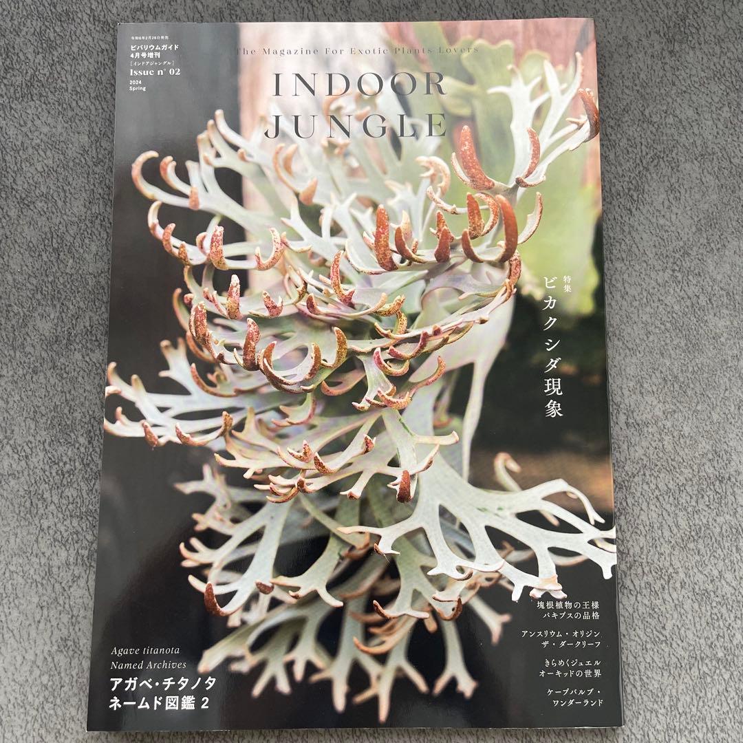 【まとめ売り】INDOOR JUNGLE インドアジャングル　1.2.3.4