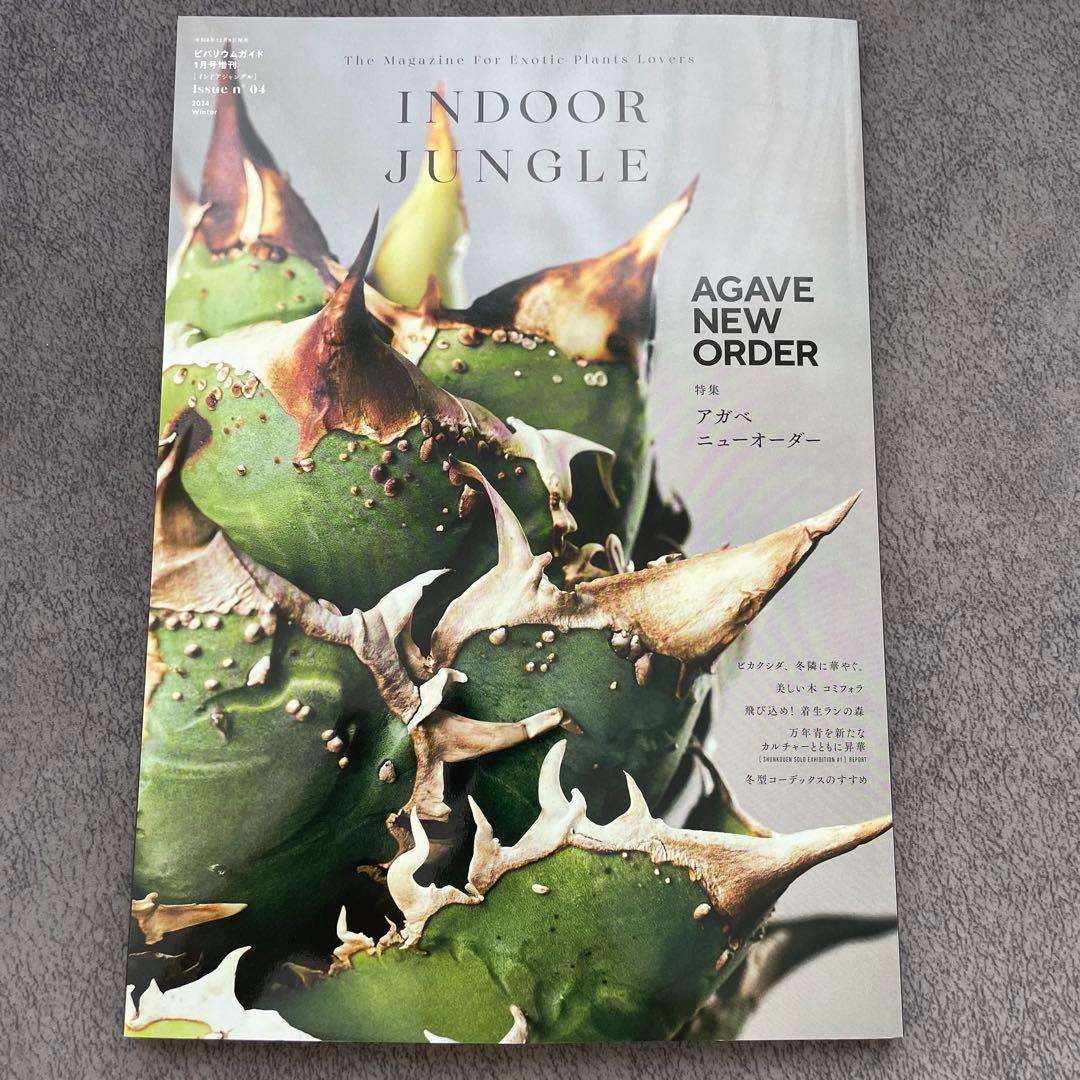 【まとめ売り】INDOOR JUNGLE インドアジャングル　1.2.3.4