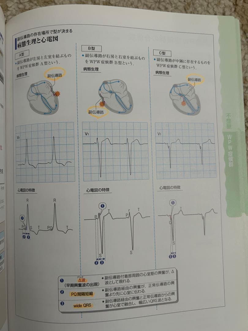 病気がみえる　第3版、第4版　8冊セット