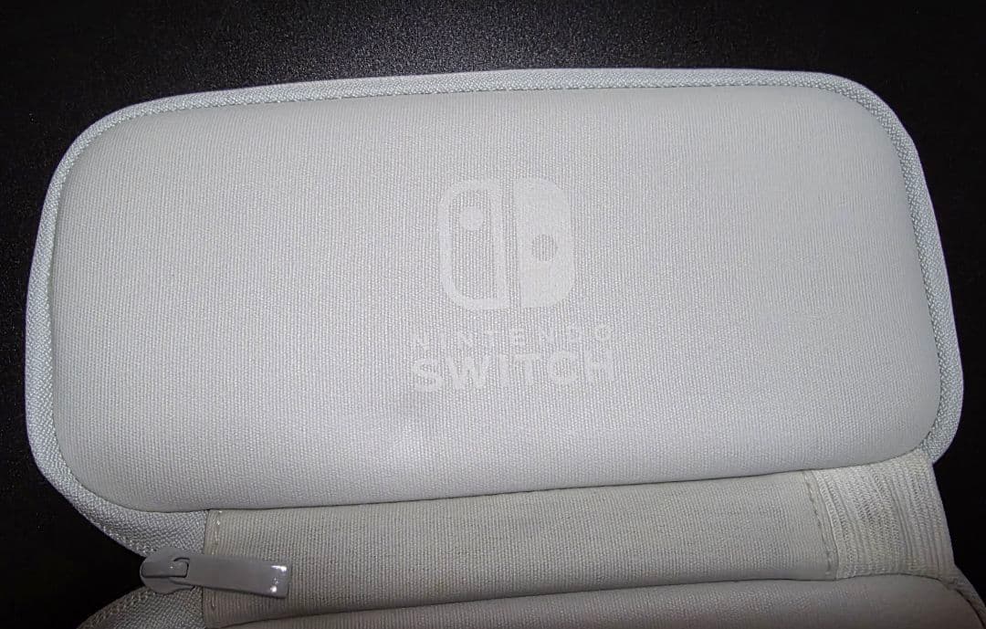 Nintendo Switch Lite パープル 専用ケース付き