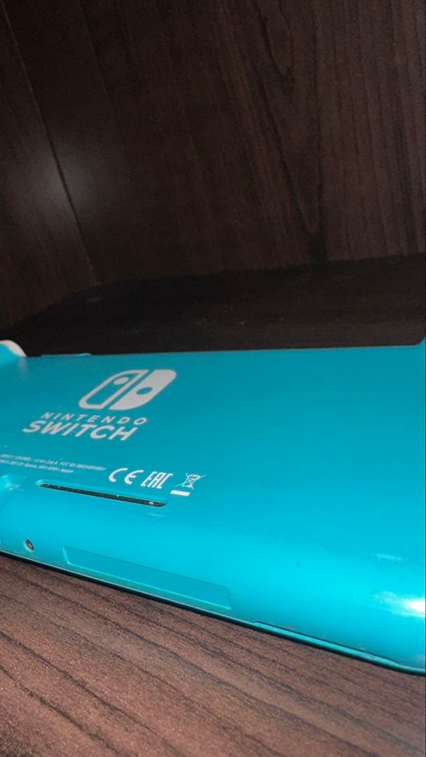 Nintendo Switch Lite 本体 ジャンク