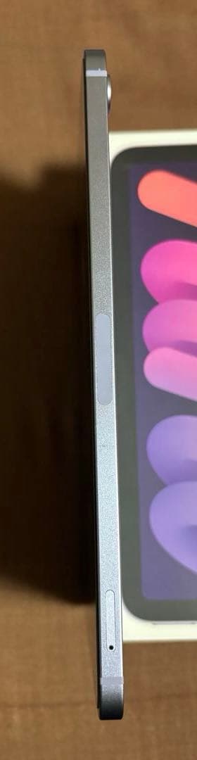 iPad mini 第6世代　Wi-Fi＋Cellular 64GB SIMフリ