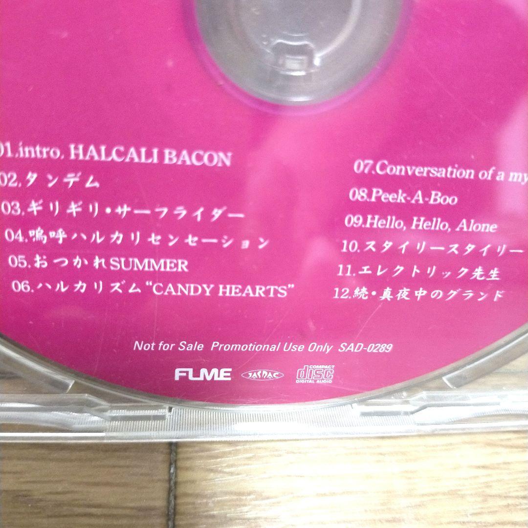 非売品Promo Sample盤CD/HALCALI ハルカリ/ハルカリベーコン