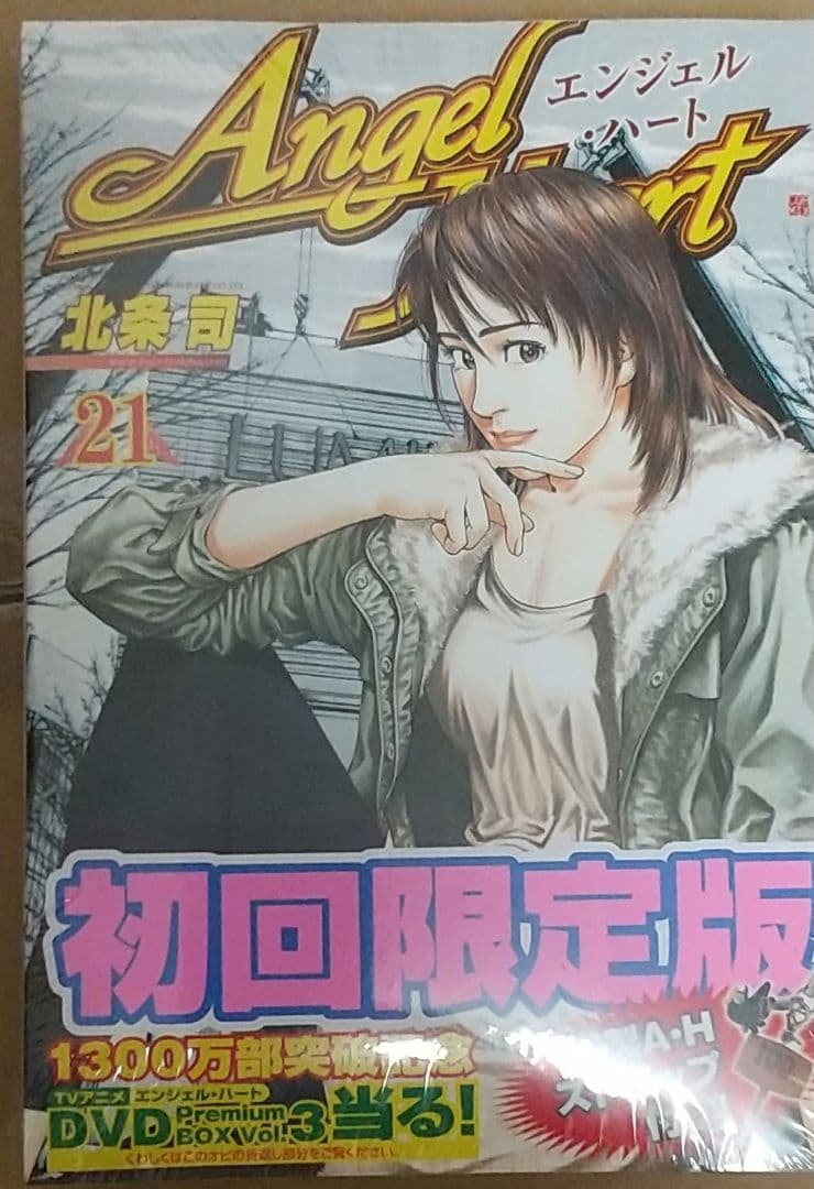 ★シティーハンター全35巻+完全読本+短編集+AH21巻限定版