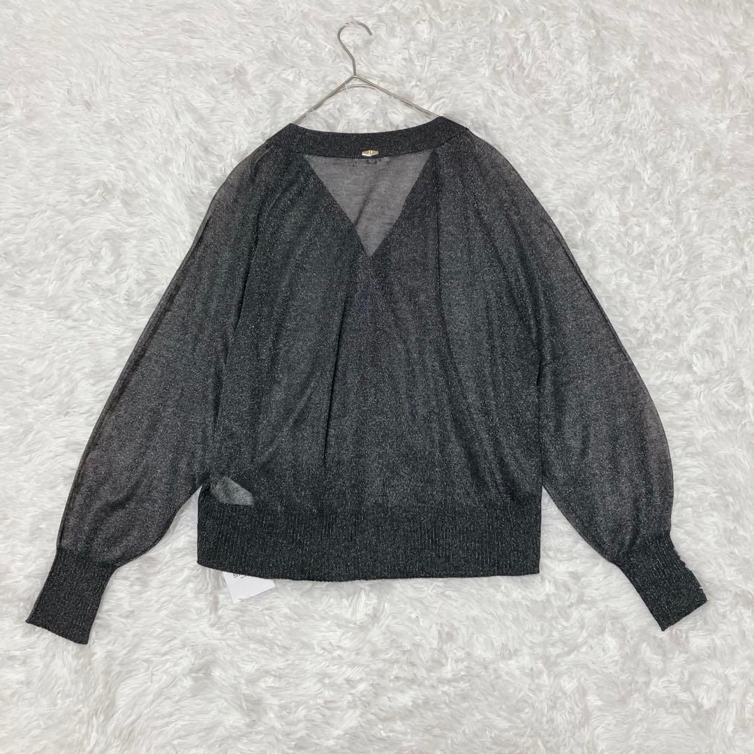新品タグ付 SALON adam et ropé ブライトラメVネックシアー