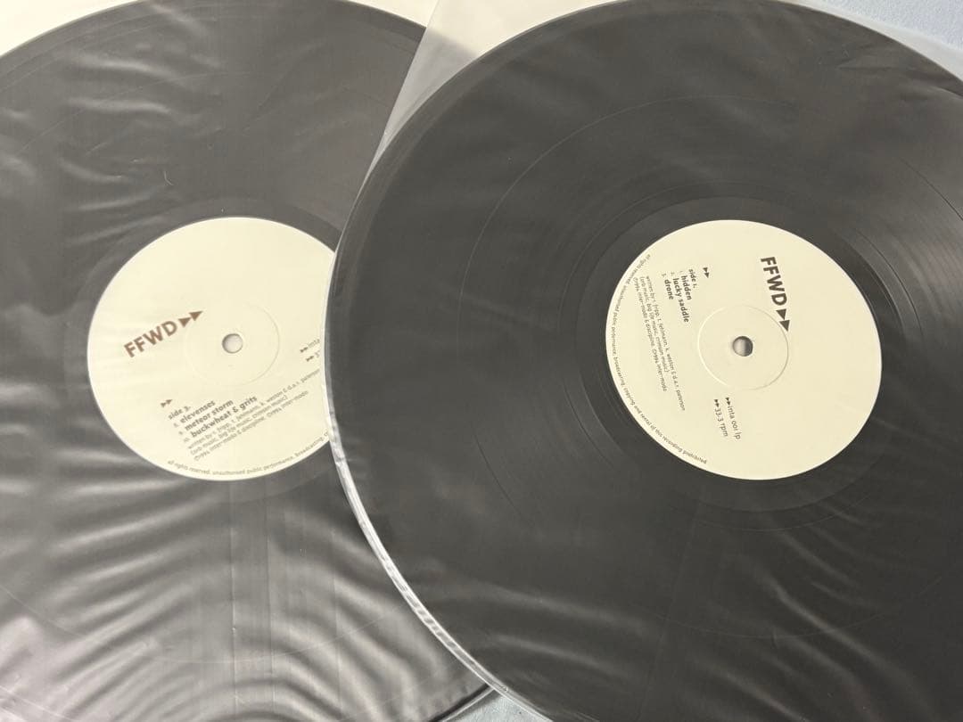 洋楽 FFWD Orb Thomas Fehlmann Robert Fripp