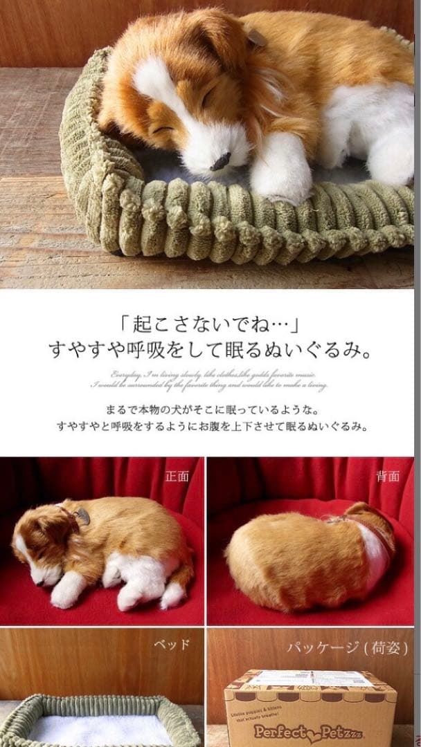 ニニアンドキノ　パーフェクトペット　シェルティ
