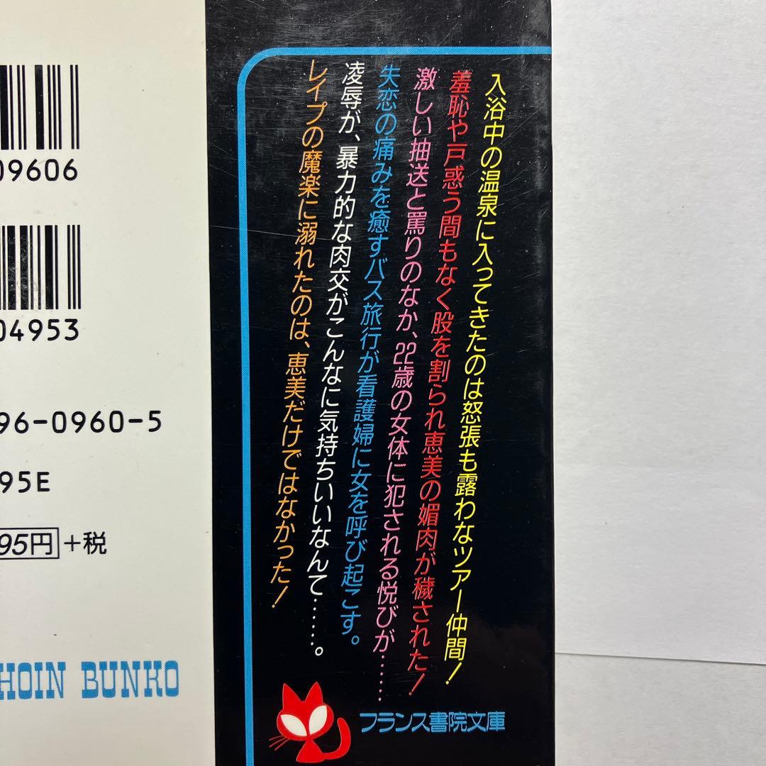 官能小説セット(海堂剛)￼2 フランス書院　官能小説　　バラ売り可