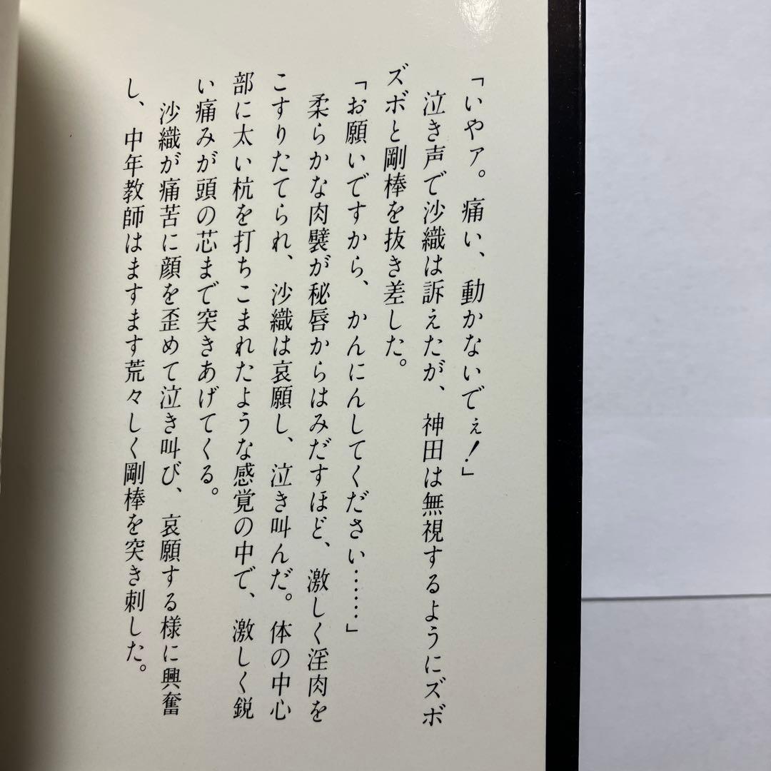 官能小説セット(海堂剛)￼2 フランス書院　官能小説　　バラ売り可