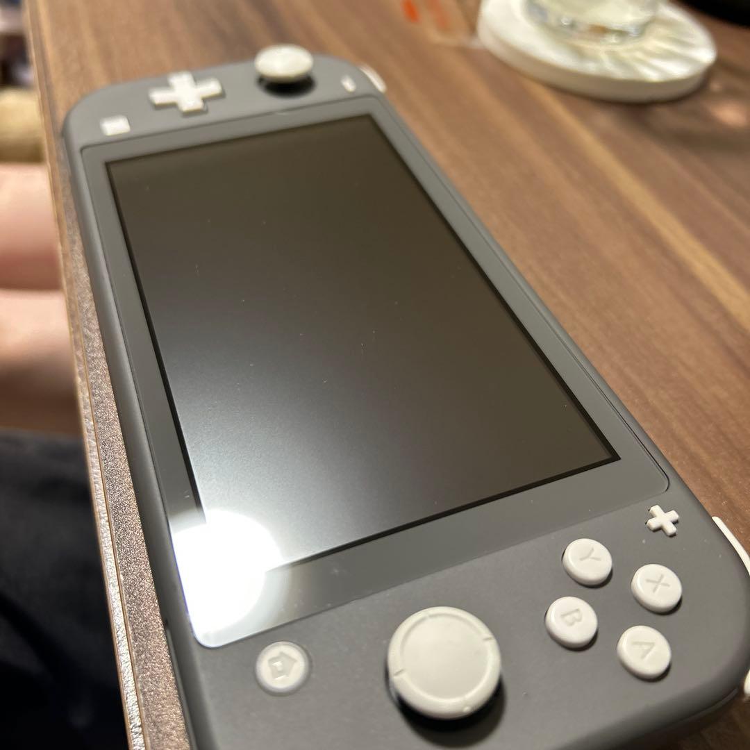 Nintendo Switch Lite + ケース+usbケーブル（AtoC）