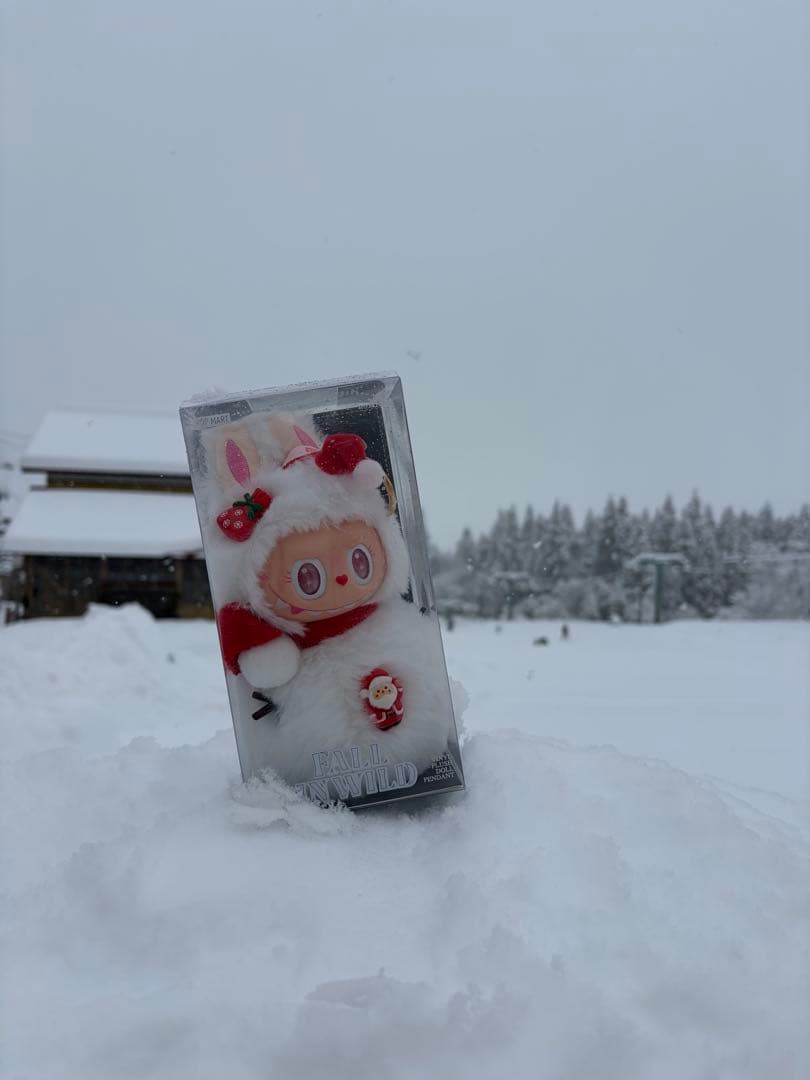 雪だるとドラえもんセット　専用ページ