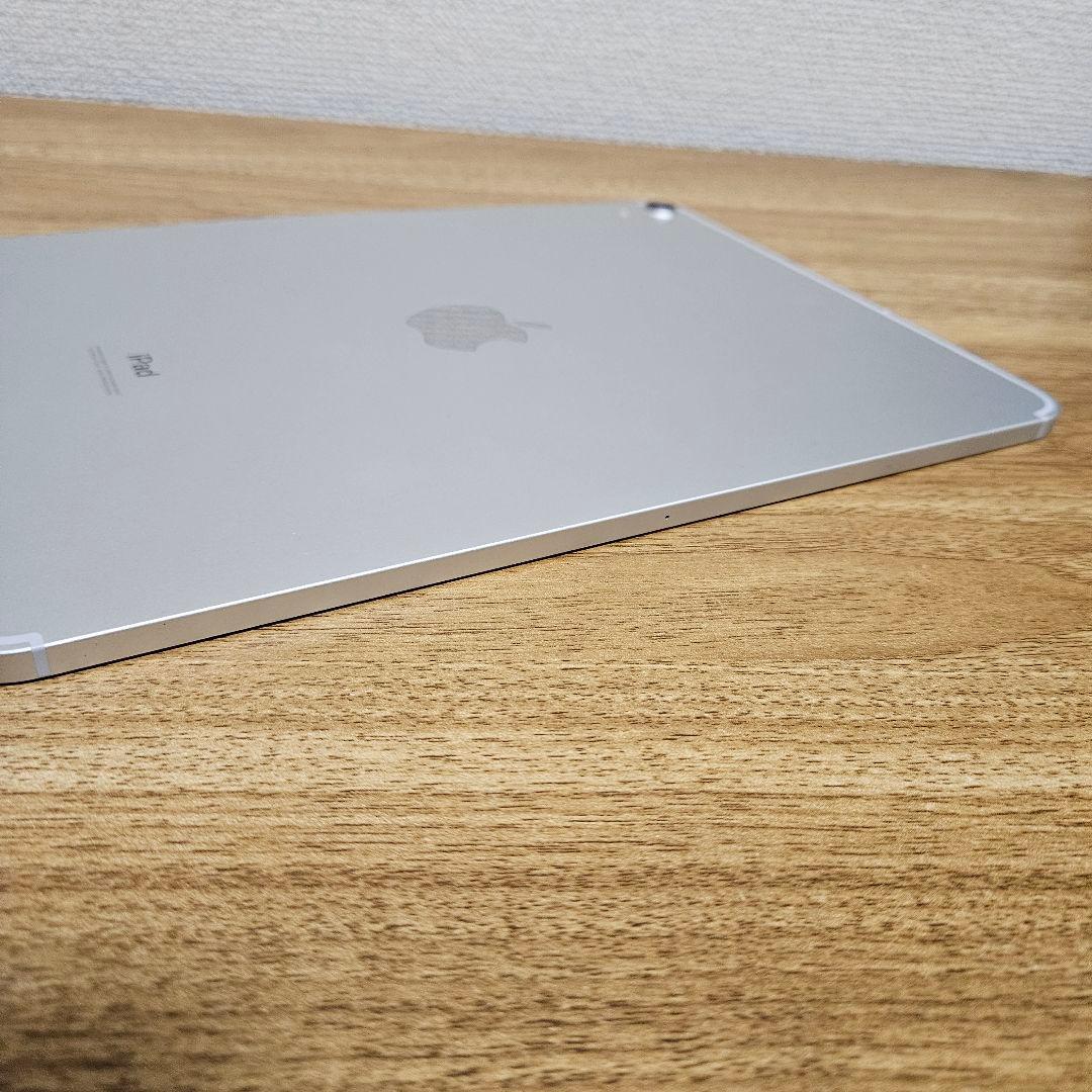 【極・美品】iPad pro 256GB Cellularモデル　11インチ