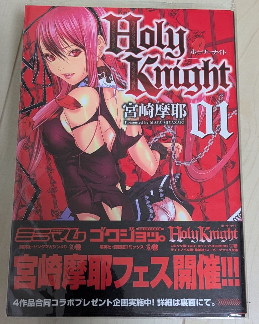Blush-DC 10巻＋ Holy Knight 4巻 セット 宮崎摩耶