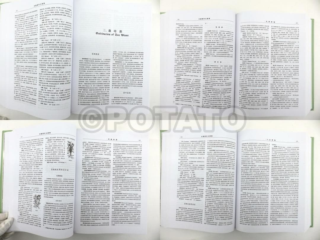 【新品】 中国語書籍：中国茶叶大辞典 / 中国轻工业出版社