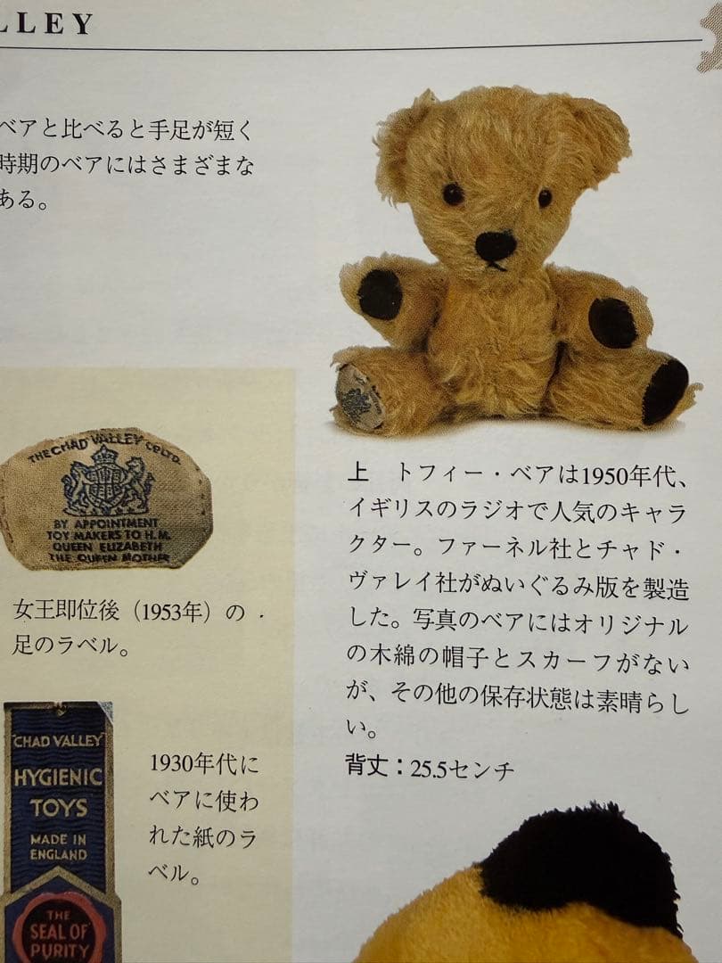チャドバレー　トフィー　TOFFEE テディベア