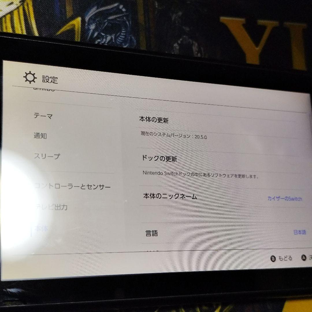 Nintendo switch ニンテンドースイッチ　未対策機　2017年式