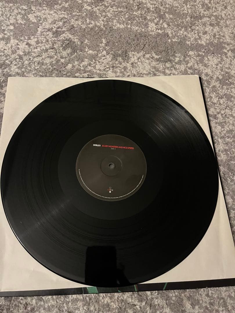 Skrillex Scary Monsters LP レコード 名盤 希少