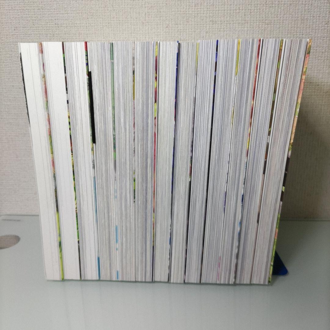 【特典付き】ある日、お姫様になってしまった件について 1〜13 全巻セット