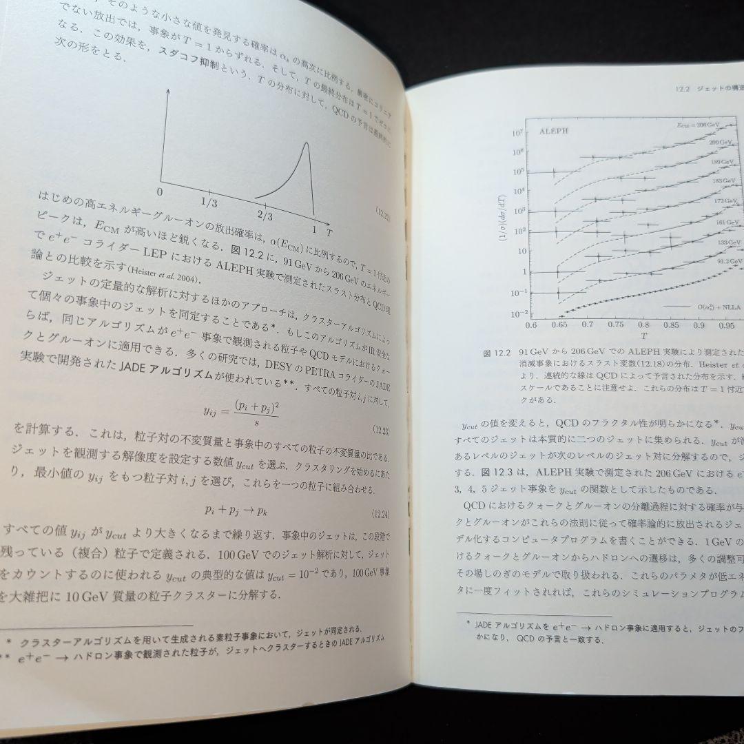 ペスキン 素粒子物理学
