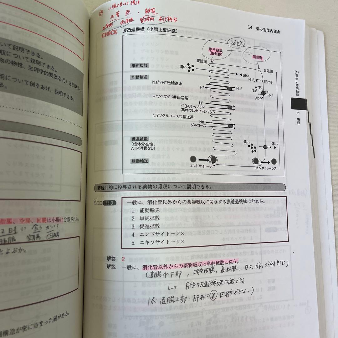 コアカリマスター3冊セット⭐︎書き込みあり☆3月末まで即発送⭐︎値下げ交渉可