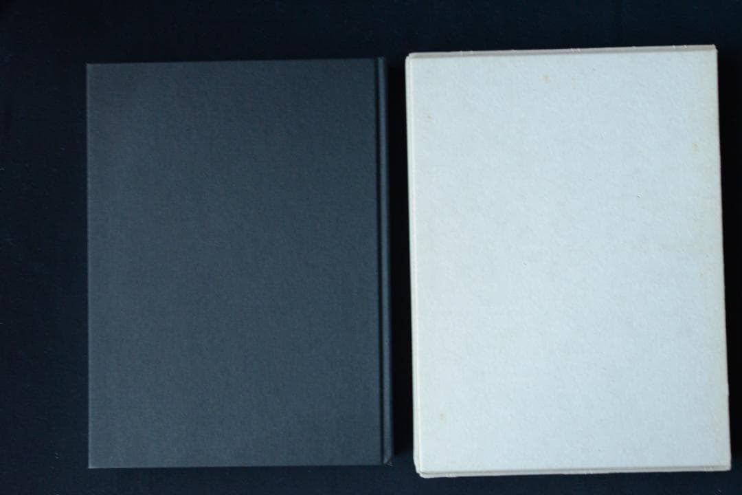 【Berlin：Hedi Slimane】エディ・スリマン 新品同様未読品