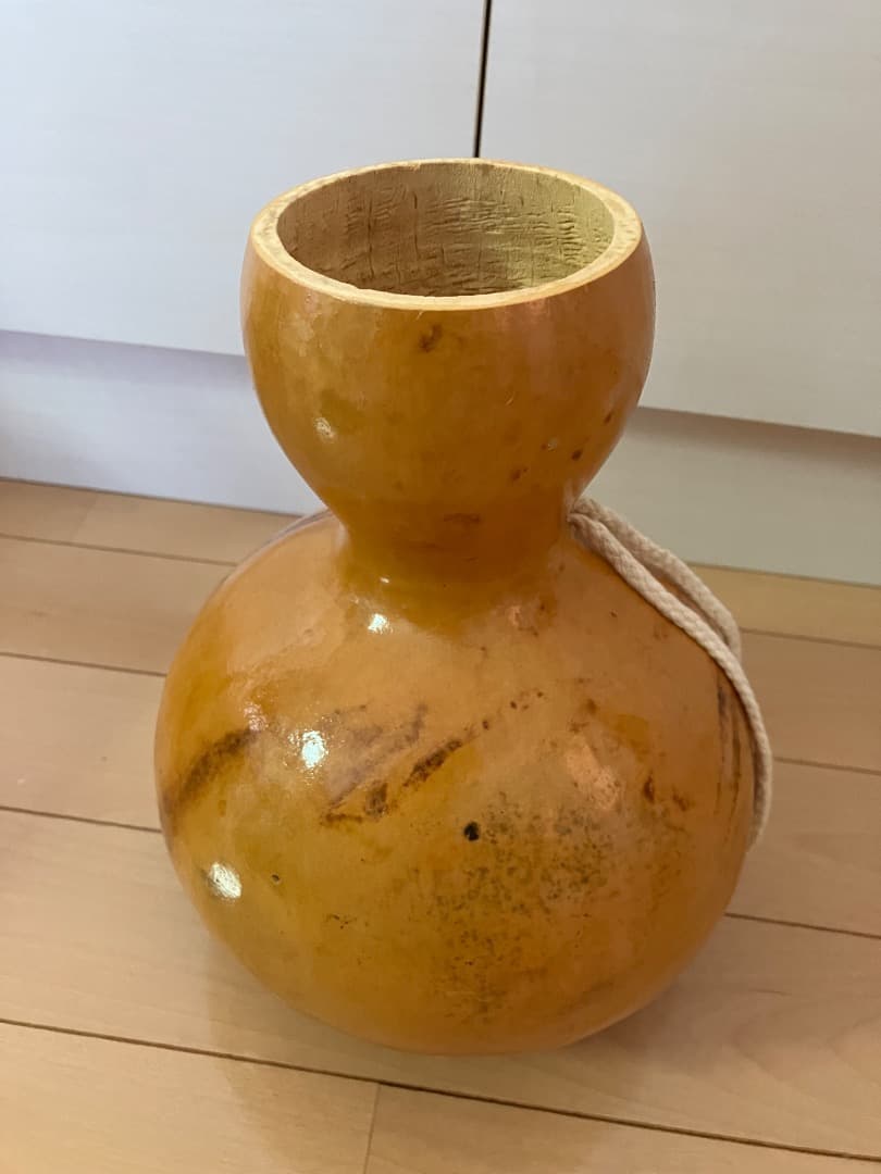 イプ　楽器　フラダンス